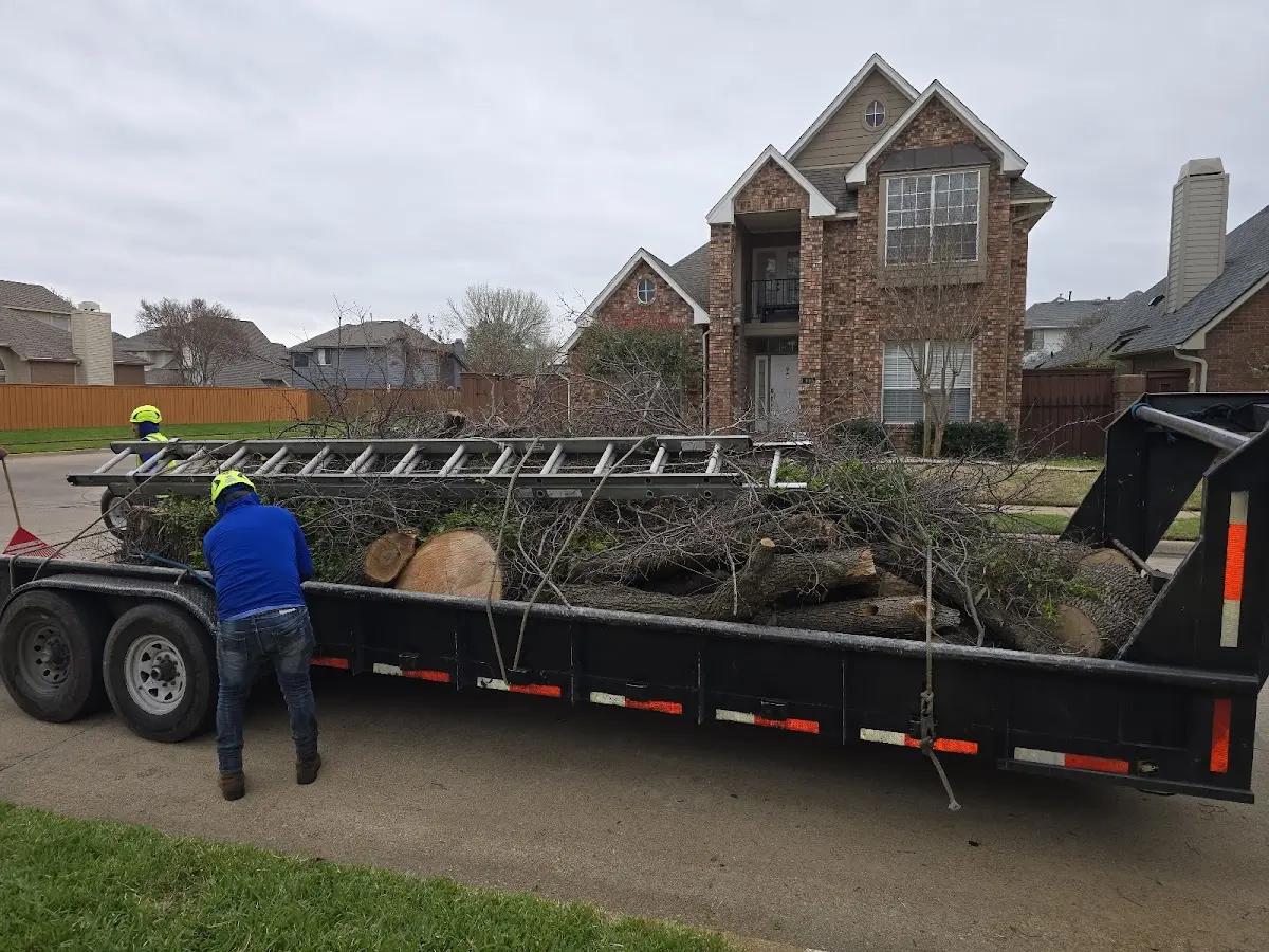 Expert Lot Clearing with proper safety equipment in Minot Afb